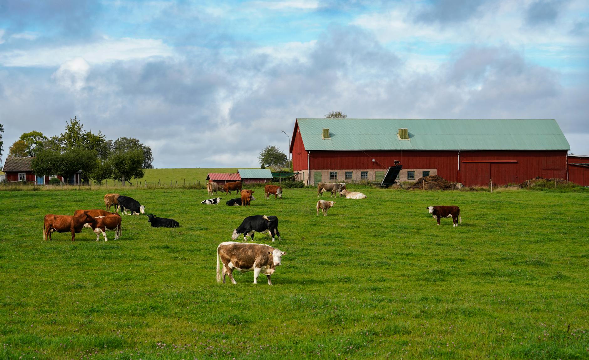 White Oak Pastures farm